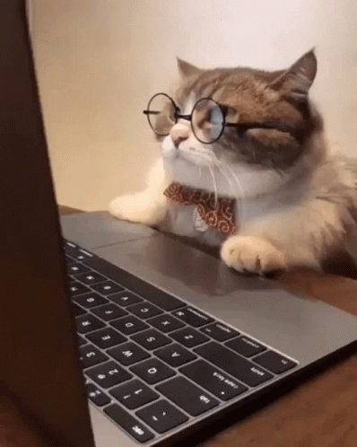 12af5bf2375bee851f1ad194f00e3125.gif