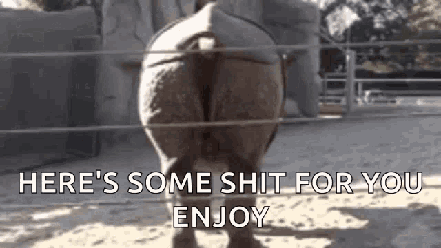 1746059914199.gif