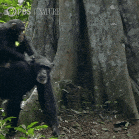 1746668068976.gif