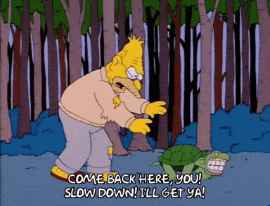 1747036555719.gif