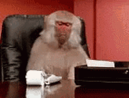 1747292845656.gif
