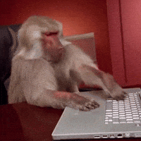 1747292857234.gif