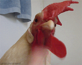 1747366726744.gif