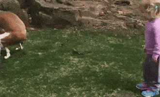 1748322199943.gif