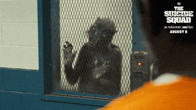 1748407883171.gif