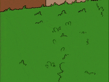 1750018179901.gif