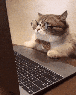 1751011129931.gif
