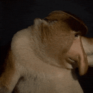1751011181528.gif