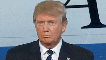 1755676689014.gif