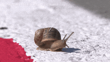 1756792900316.gif