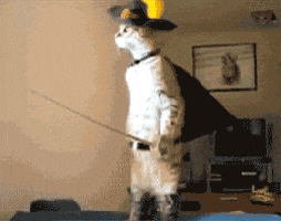 1757461493537.gif