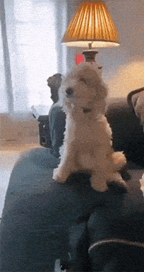 1757492309517.gif