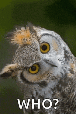1757825422164.gif