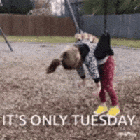 1758000367943.gif