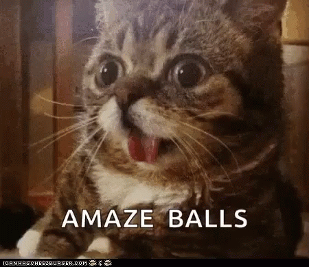 amaze-balls-excited.gif