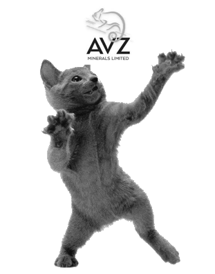 AVZ-cat.gif