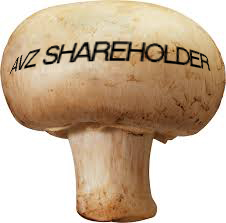 AVZ mushroom.jpg