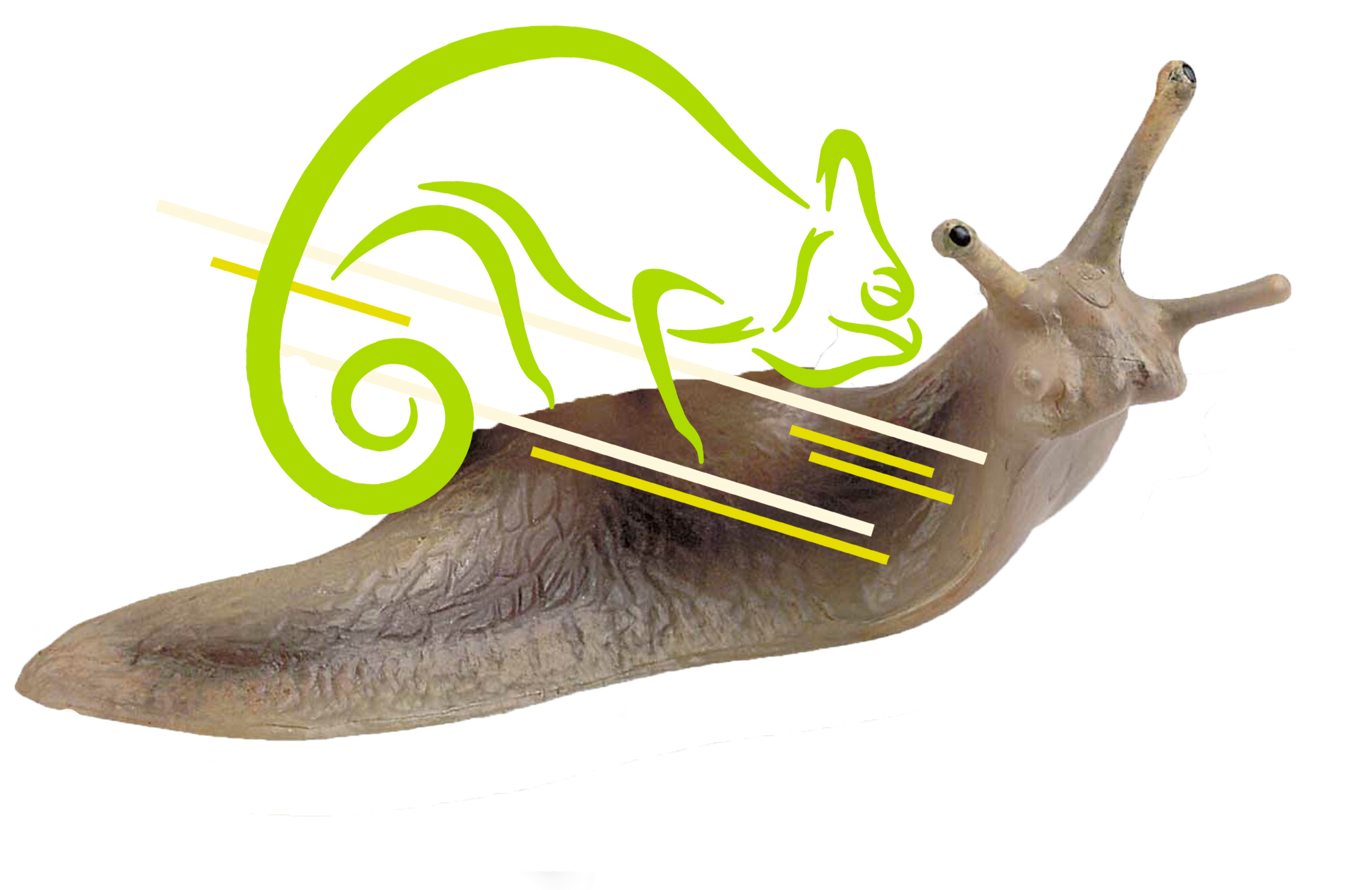 avz snail.jpg