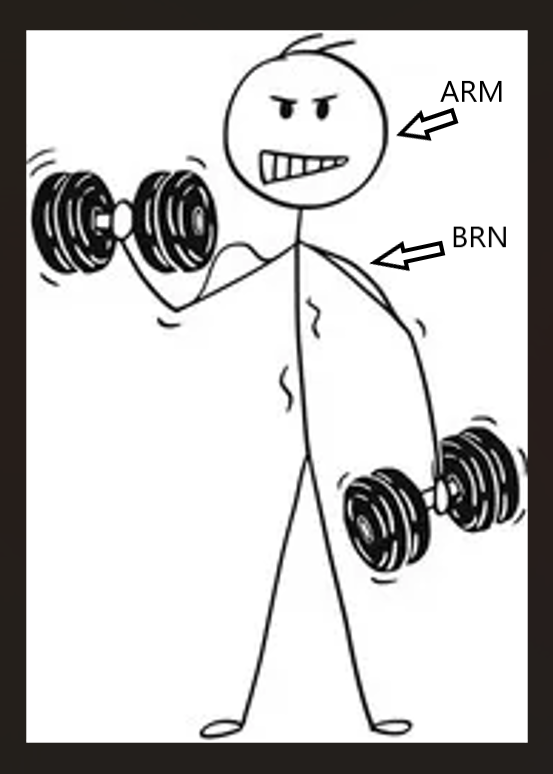 Biceps BRN.png
