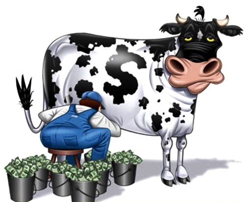 cash-cow.jpg