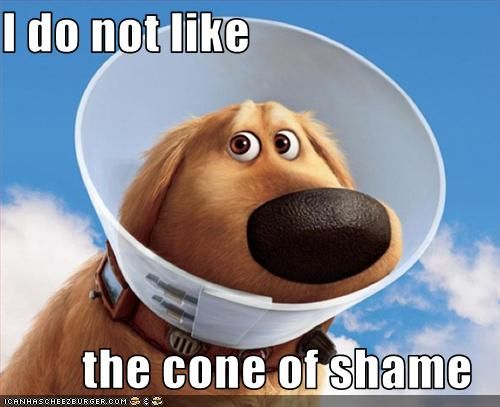 cone_of_shame.jpg