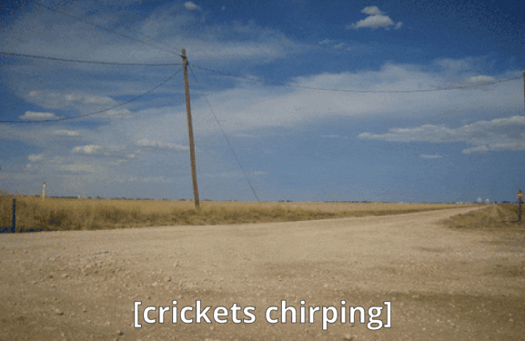 Crickets-chirping-text-tumbleweed.gif