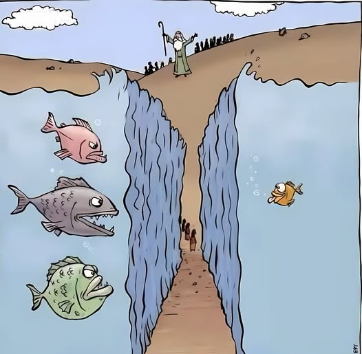 da fish.jpg