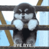 fatdog-dog.gif
