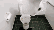 how-to-basic-how-to-basic-toilet.gif