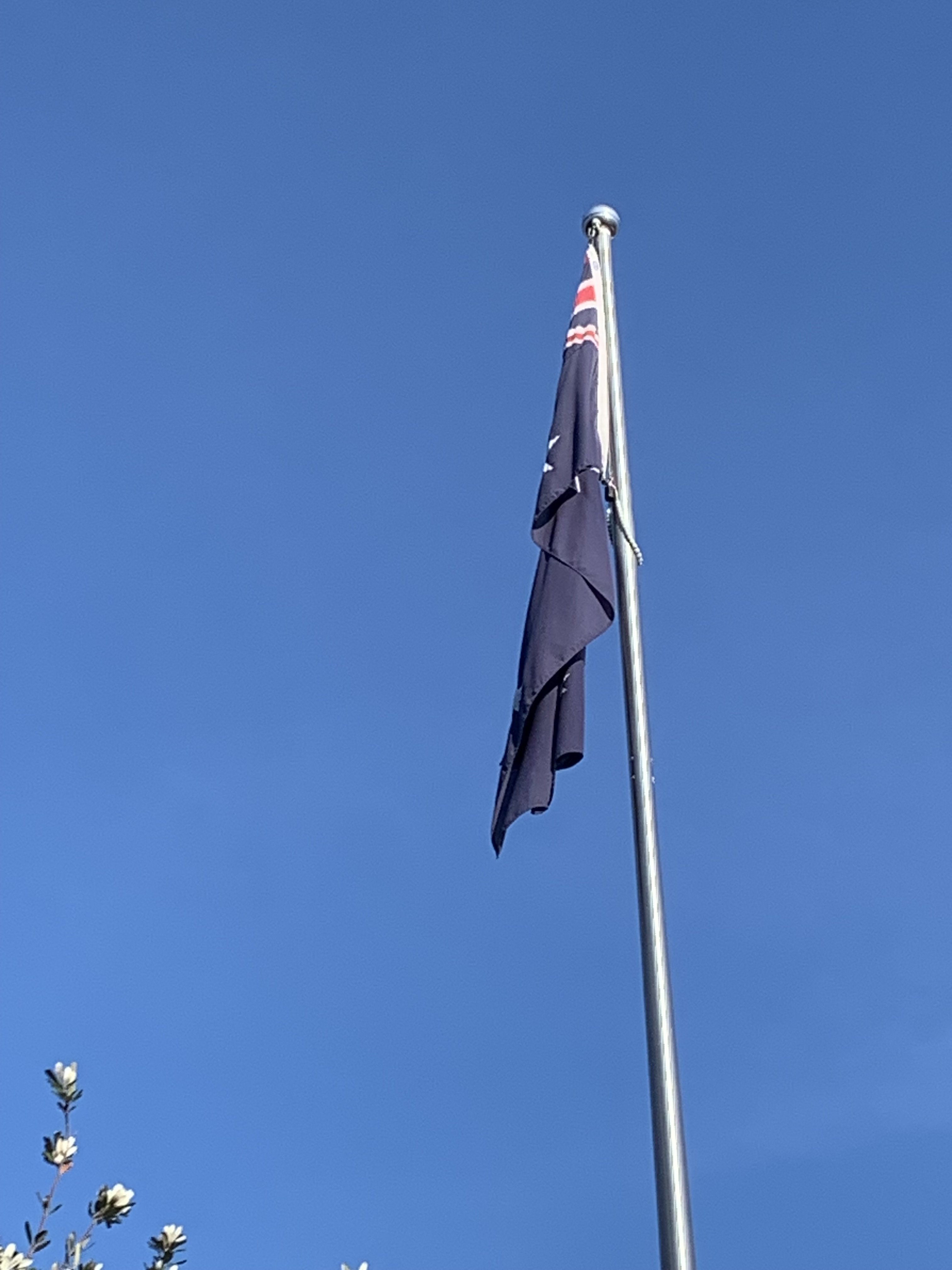 IMG_6113.jpeg