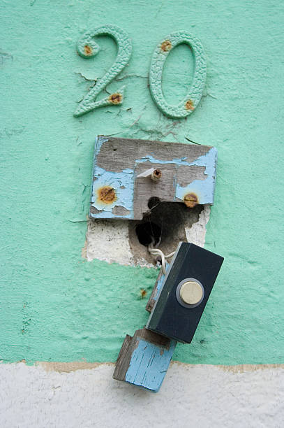 istockphoto-104647667-612x612.jpg