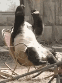 mistake-foul.gif