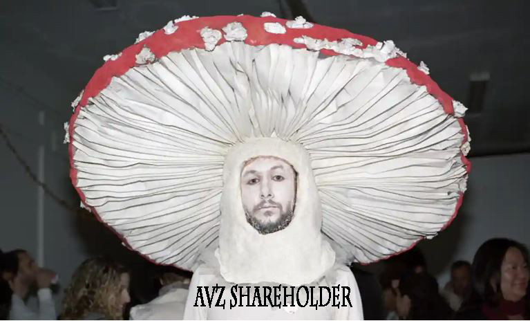 mushroom avz .jpg