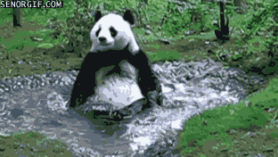 panda-has-a-relaxing-bath-time.gif