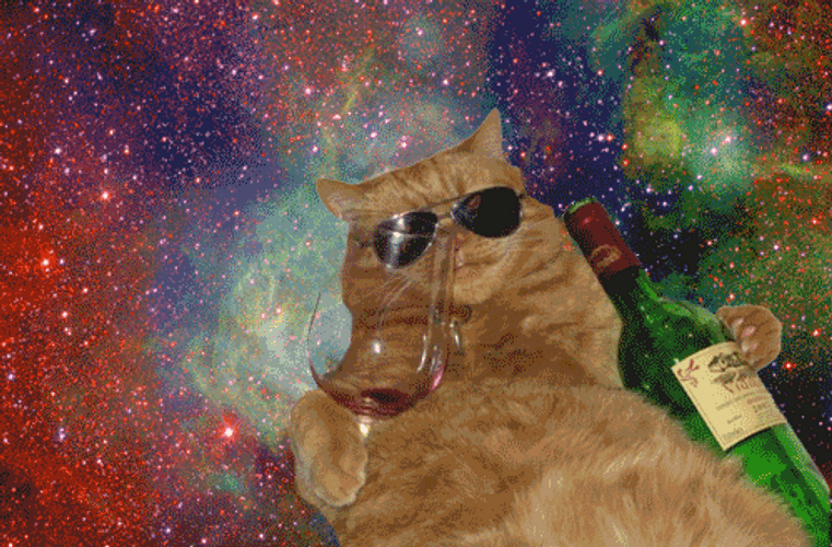psychedelic-cat-with-wine-k4k9ral97optc5zp.gif