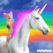 rainbow unicorn.gif