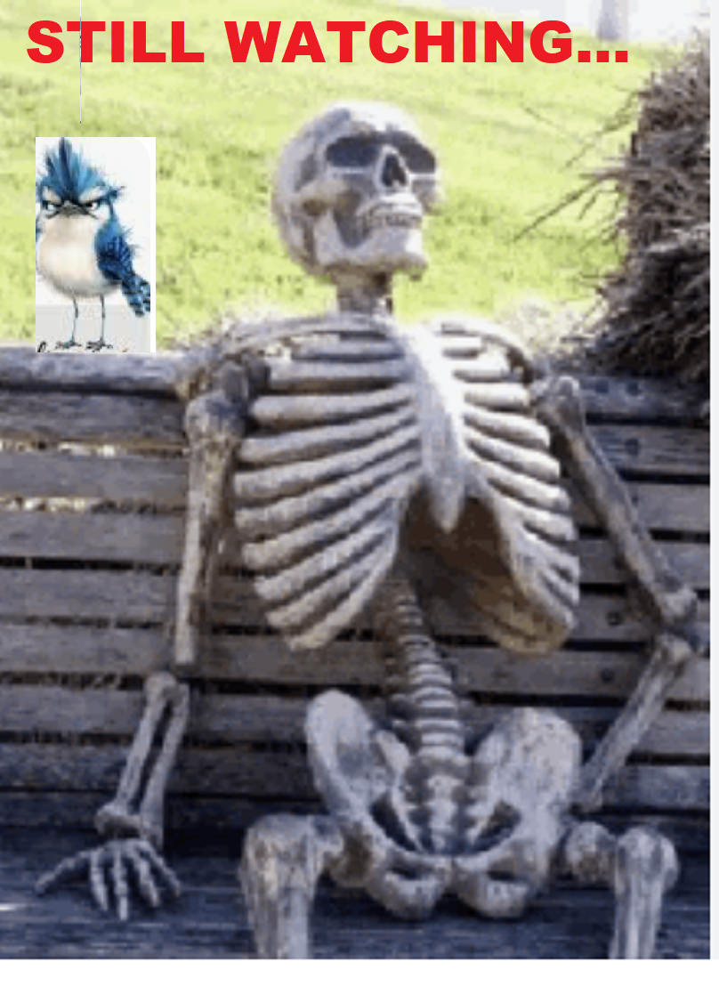 Screenshot 2026-01-17 at 1.57.03 pm.png