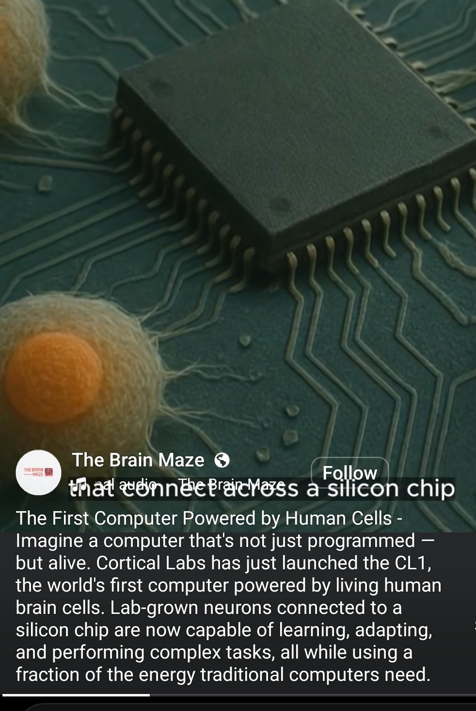 Screenshot_20250602_064057_Facebook.jpg
