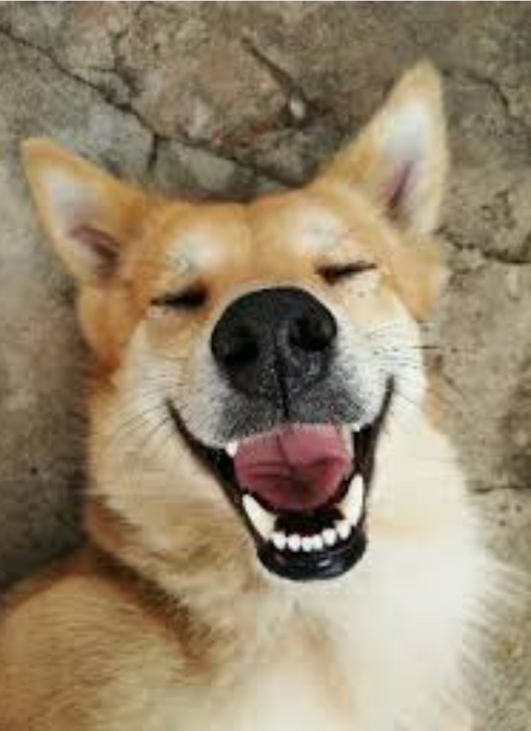 Screenshot_20250707-060040_Firefox.jpg