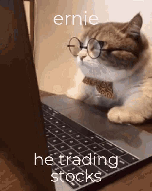 stocks-cute-busy-cat-day-trading-x3t5l6octhx3r7dv.gif