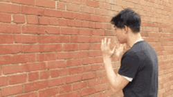 talking-to-a-wall-asian-guy-p1ifcm95sg4bzkqk.gif