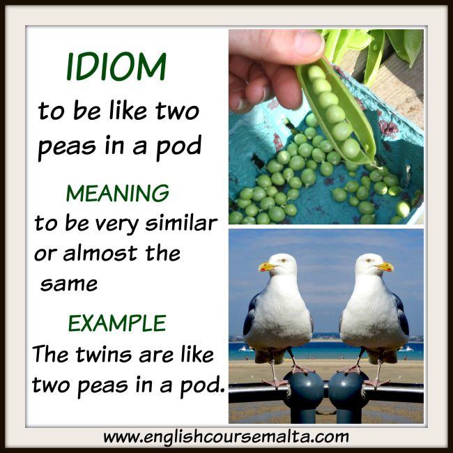 Two-peas-in-a-pod.jpg