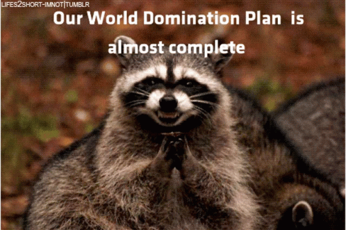 world-domination-raccoon.gif