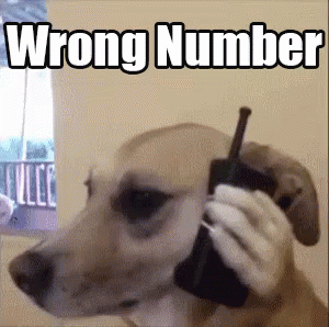 wrong-number-dog.gif