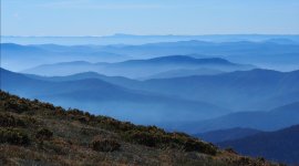 View from Mt Bogong.jpg