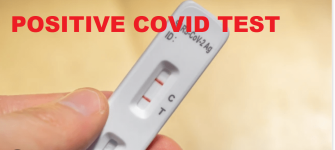 Screenshot 2025-11-06 at 9.56.46 am.png