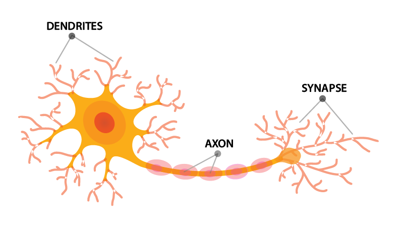 hardware neurons