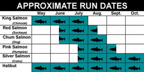 Alaska Fish Run Dates | Petersburg | Island Point Lodge