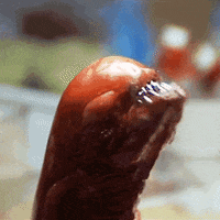ridley scott GIF by 20th Century Fox Home Entertainment
