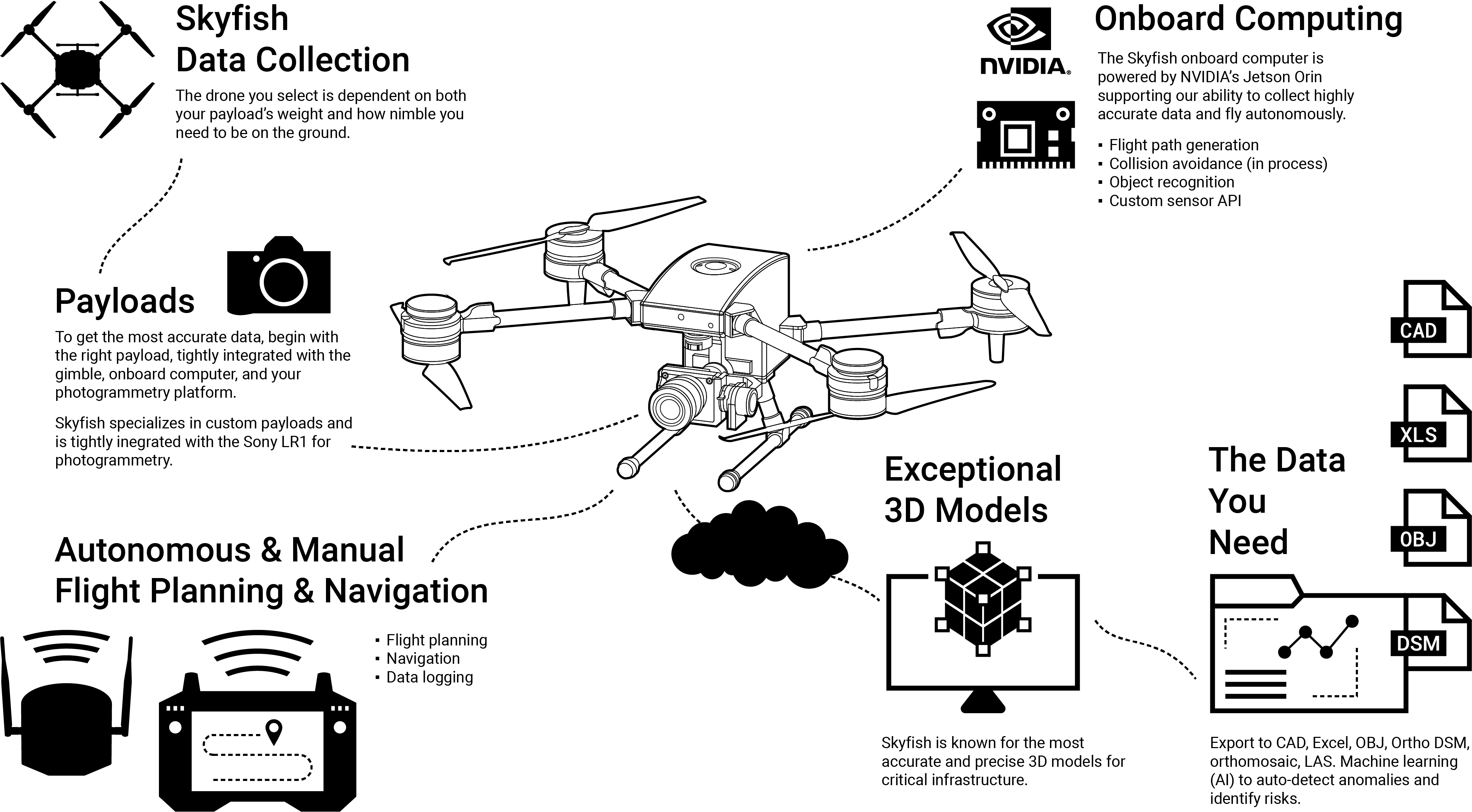 skyfish.ai